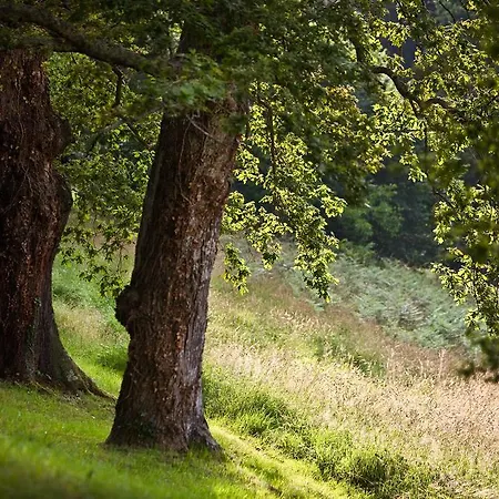 Clos Mirabel Manor - Jurançon