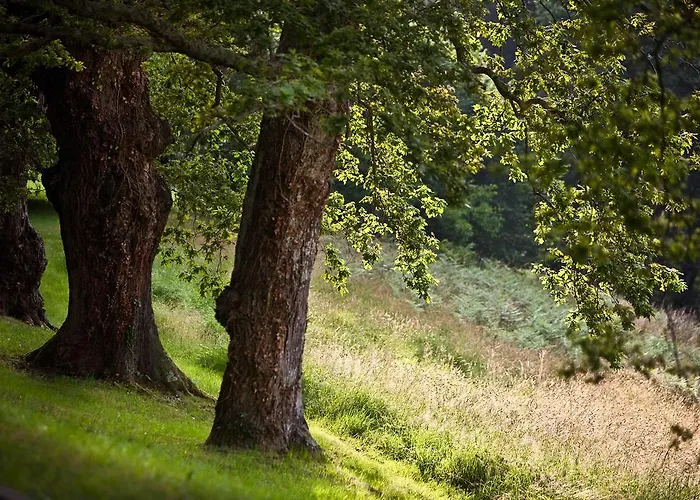 Clos Mirabel Manor - Jurançon