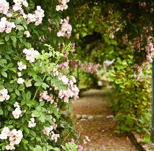 Clos Mirabel Manor - *