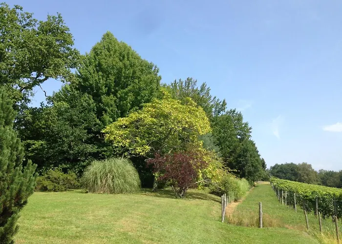 Clos Mirabel Manor - Semesterbostad *